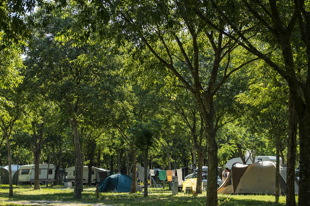 Emplacement tente et caravane au camping les platanes en Ardèche